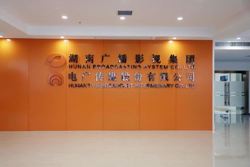 電廣傳媒上半年凈利潤4.71億創紀錄，藝術策劃與內容生態協同發展成亮點